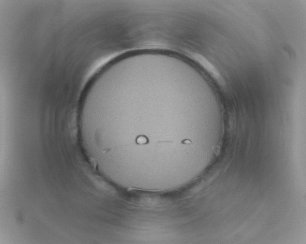 X0000115391364200911241238