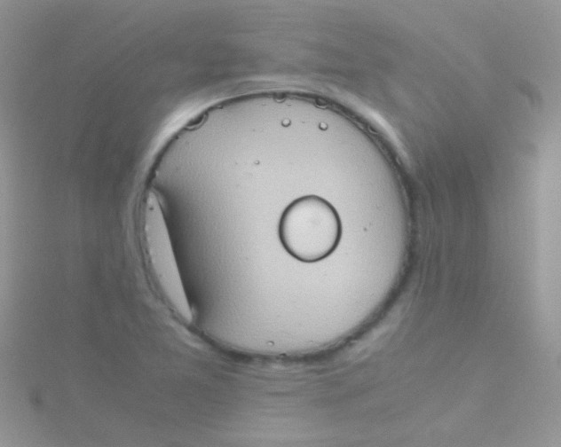 X0000115391365200911241238