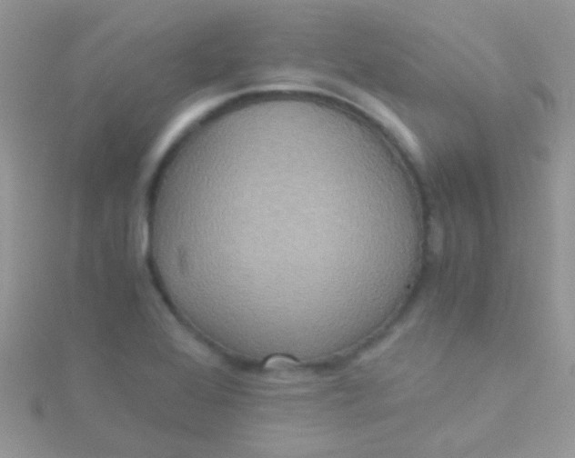 X0000115391368200911241238