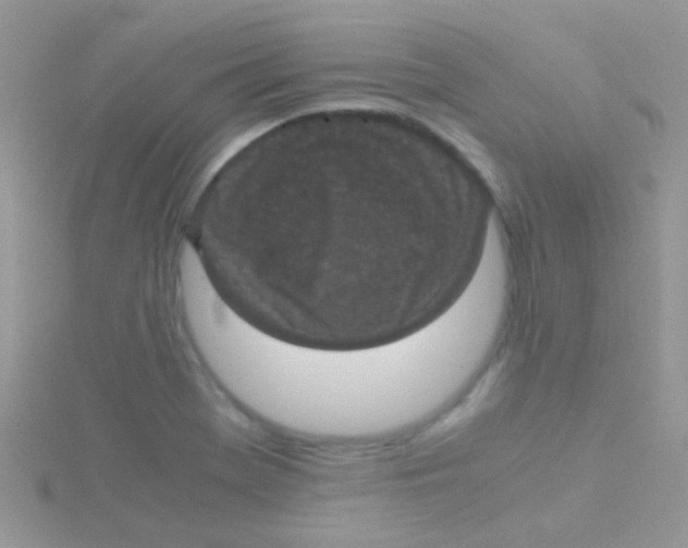 X0000115391369200911241238