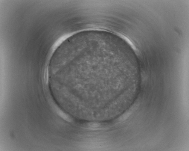 X0000115391371200911241238