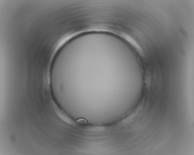 X0000115391372200911241238