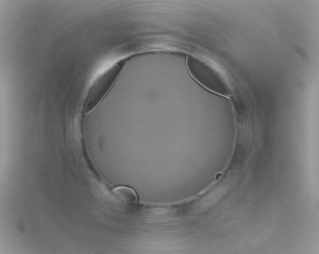 X0000115391373200911241238