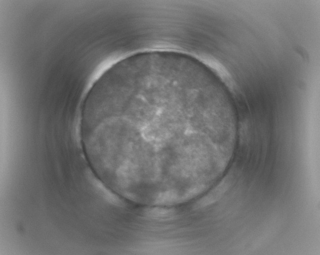 X0000115391374200911241238