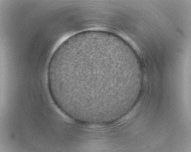 X0000115391375200911241237