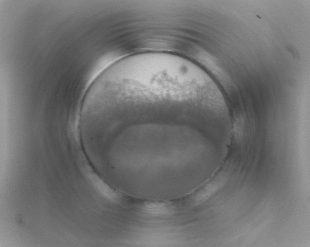 X0000115391378200911241237