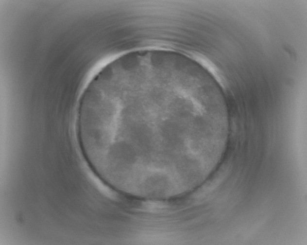 X0000115391379200911241237