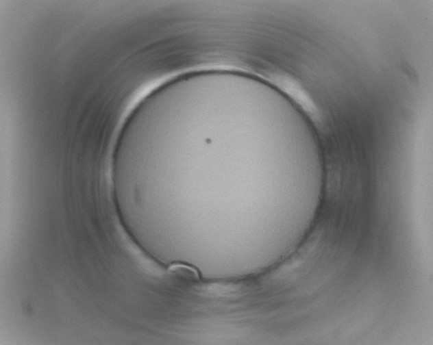 X0000115391380200911241237