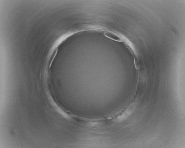 X0000115391381200911241237