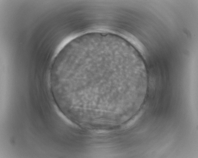 X0000115391382200911241237