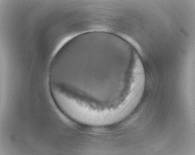 X0000115391383200911241237