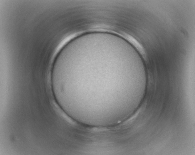 X0000115391384200911241237