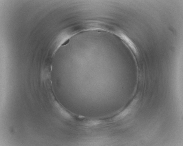 X0000115391385200911241237