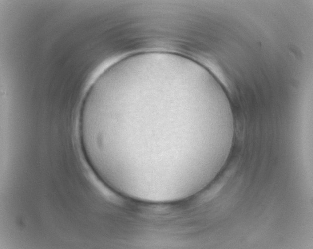 X0000115391387200911241237