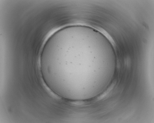 X0000115391388200911241237