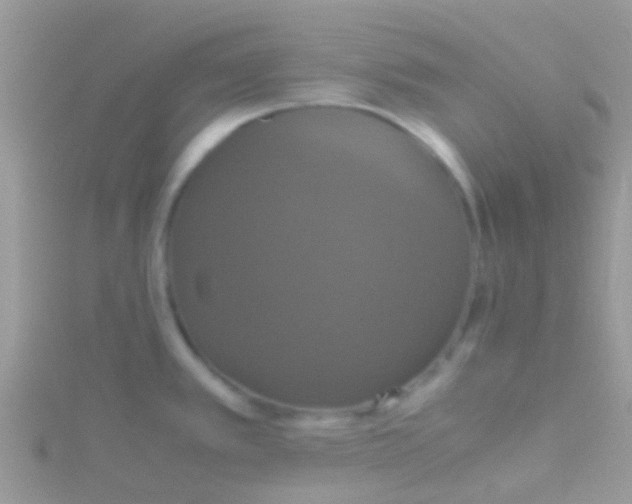 X0000115391389200911241237