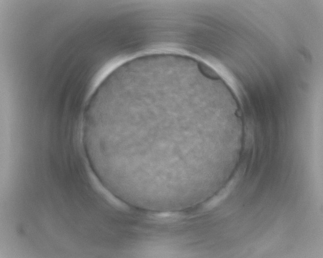 X0000115391390200911241237