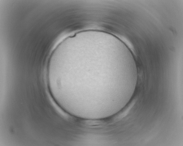 X0000115391391200911241237