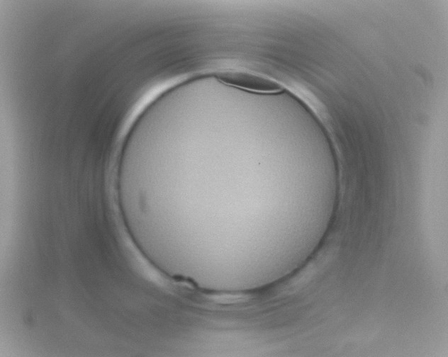 X0000115391392200911241237