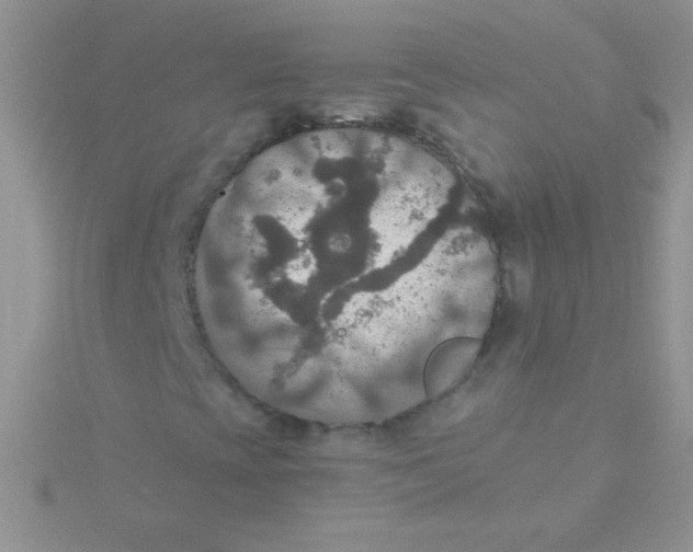 X0000115391393200911241237