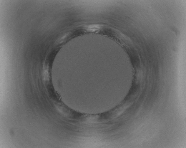 X0000115391394200911241237