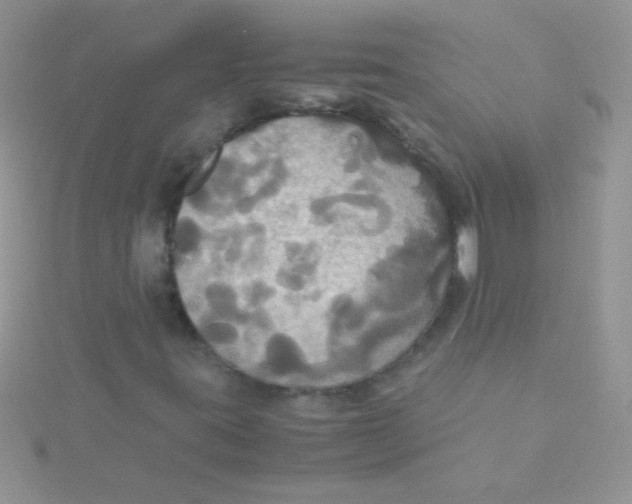 X0000115391395200911241237