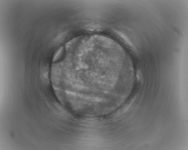 X0000115391396200911241237