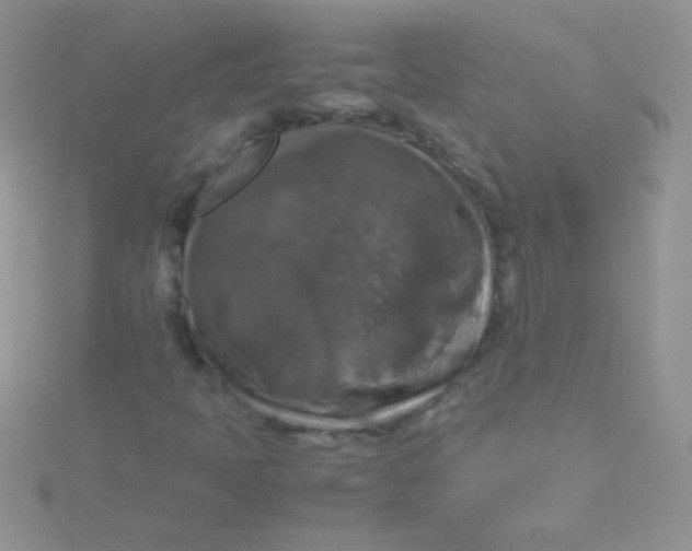 X0000115391397200911241237