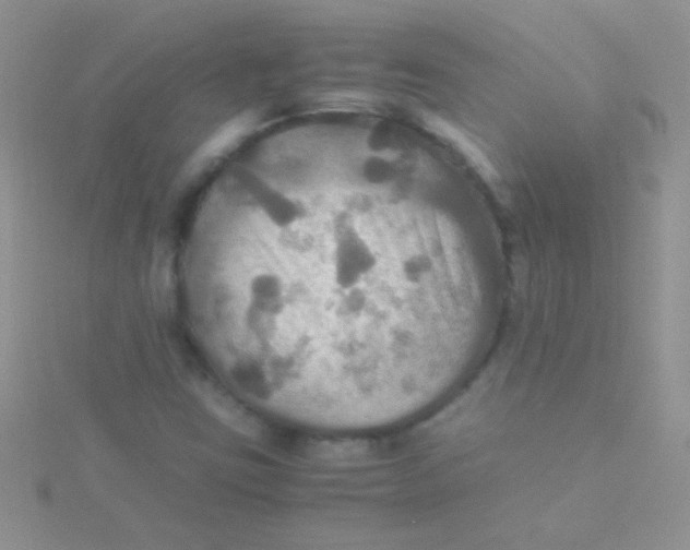 X0000115391403200911241237