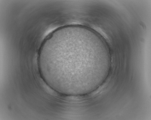 X0000115391404200911241237