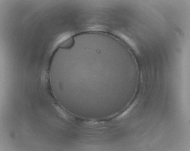 X0000115391405200911241237