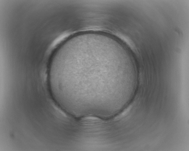 X0000115391406200911241237