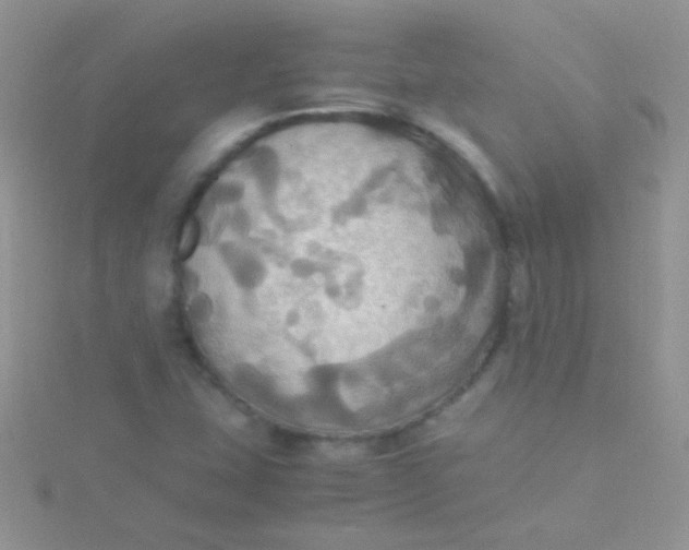 X0000115391407200911241237