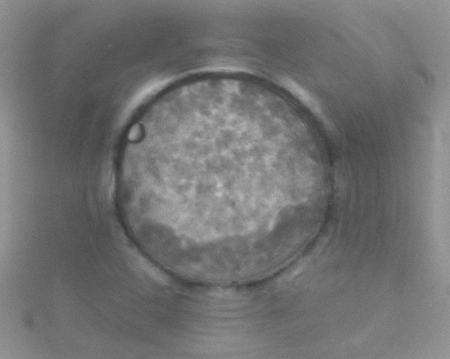 X0000115391408200911241237