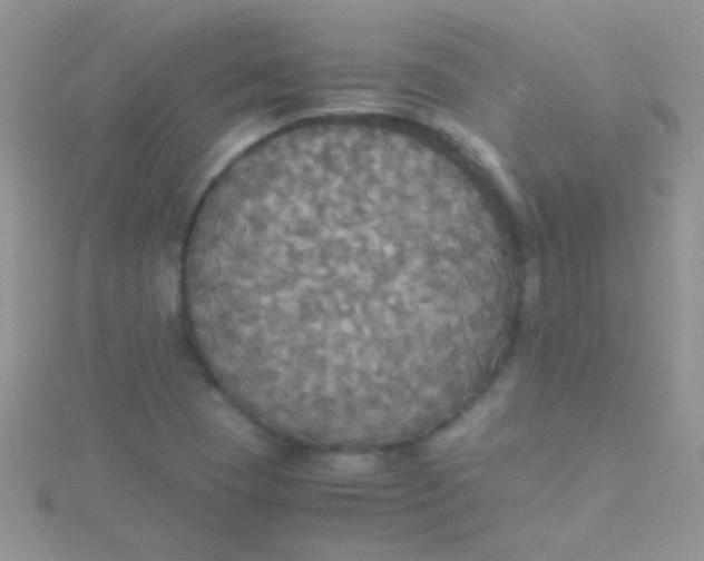 X0000115391409200911241237