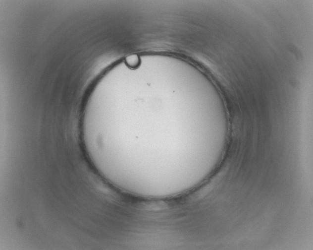 X0000115391410200911241237