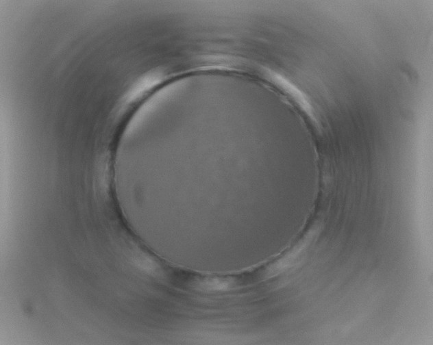 X0000115391411200911241237