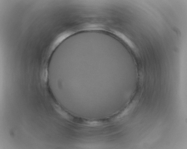 X0000115391413200911241237