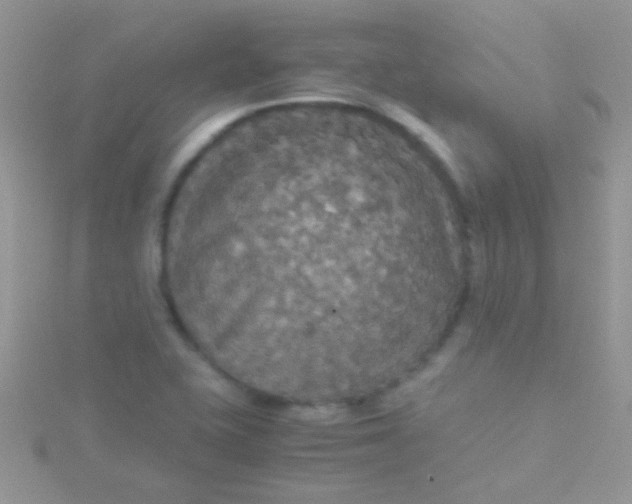 X0000115391415200911241237