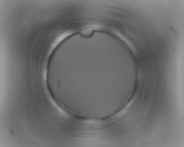 X0000115391418200911241237