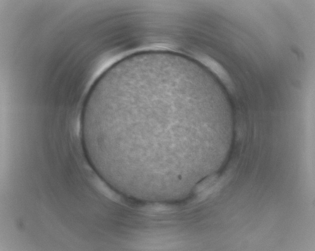 X0000115391420200911241237