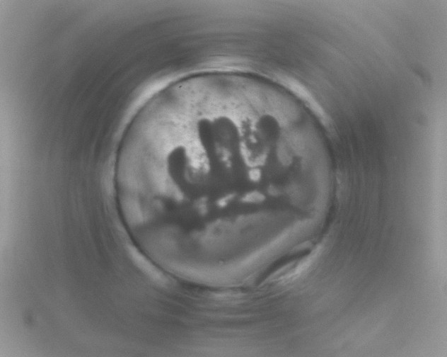 X0000115391421200911241237