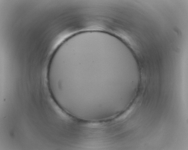 X0000115391422200911241237