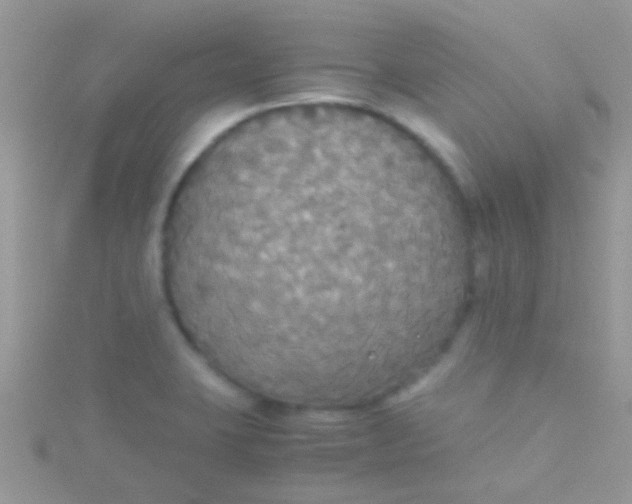 X0000115391423200911241237