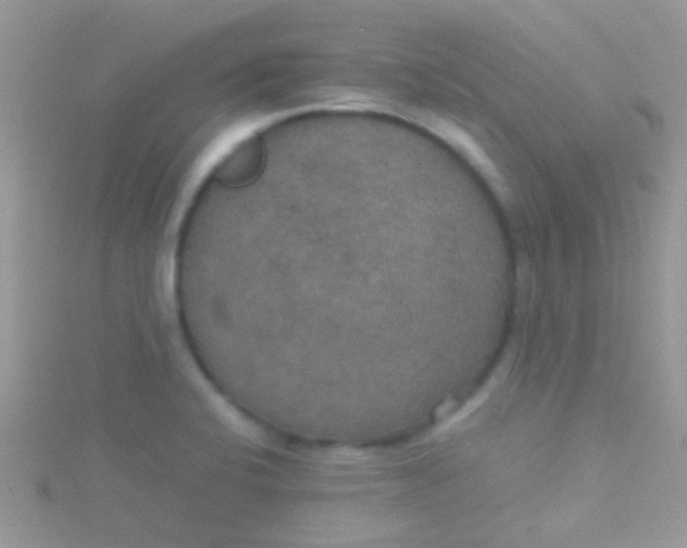 X0000115391424200911241237