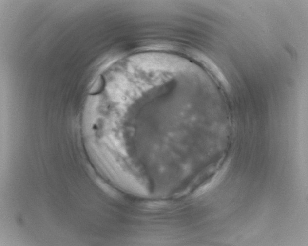 X0000115391425200911241237