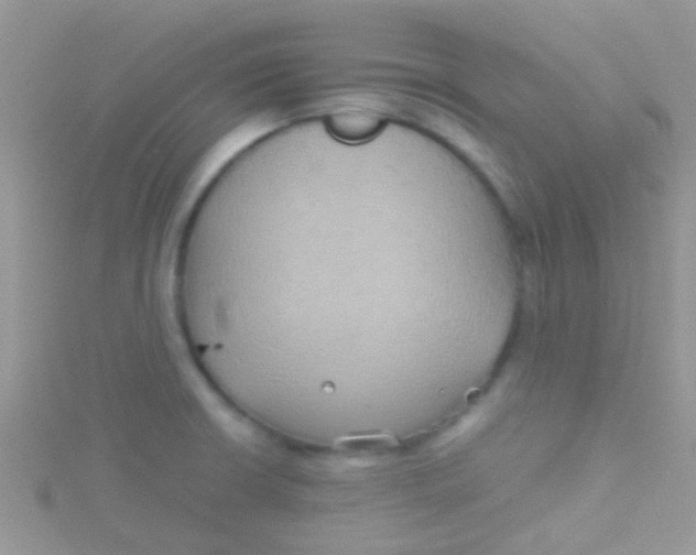 X0000115391426200911241237