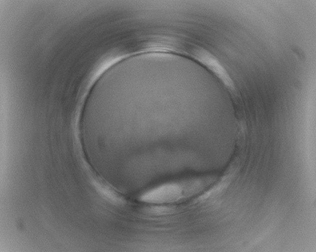 X0000115391427200911241237