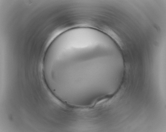 X0000115391428200911241237