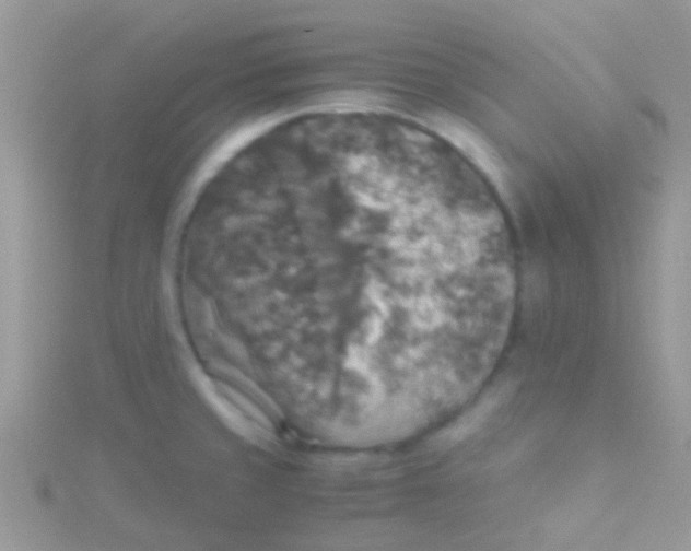 X0000115391429200911241237